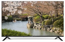 RAZZ 50" C50USS25F Салют ТВ телевизор