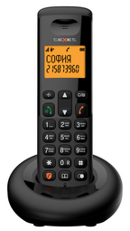 TEXET TX-D4905A Black радиотелефон